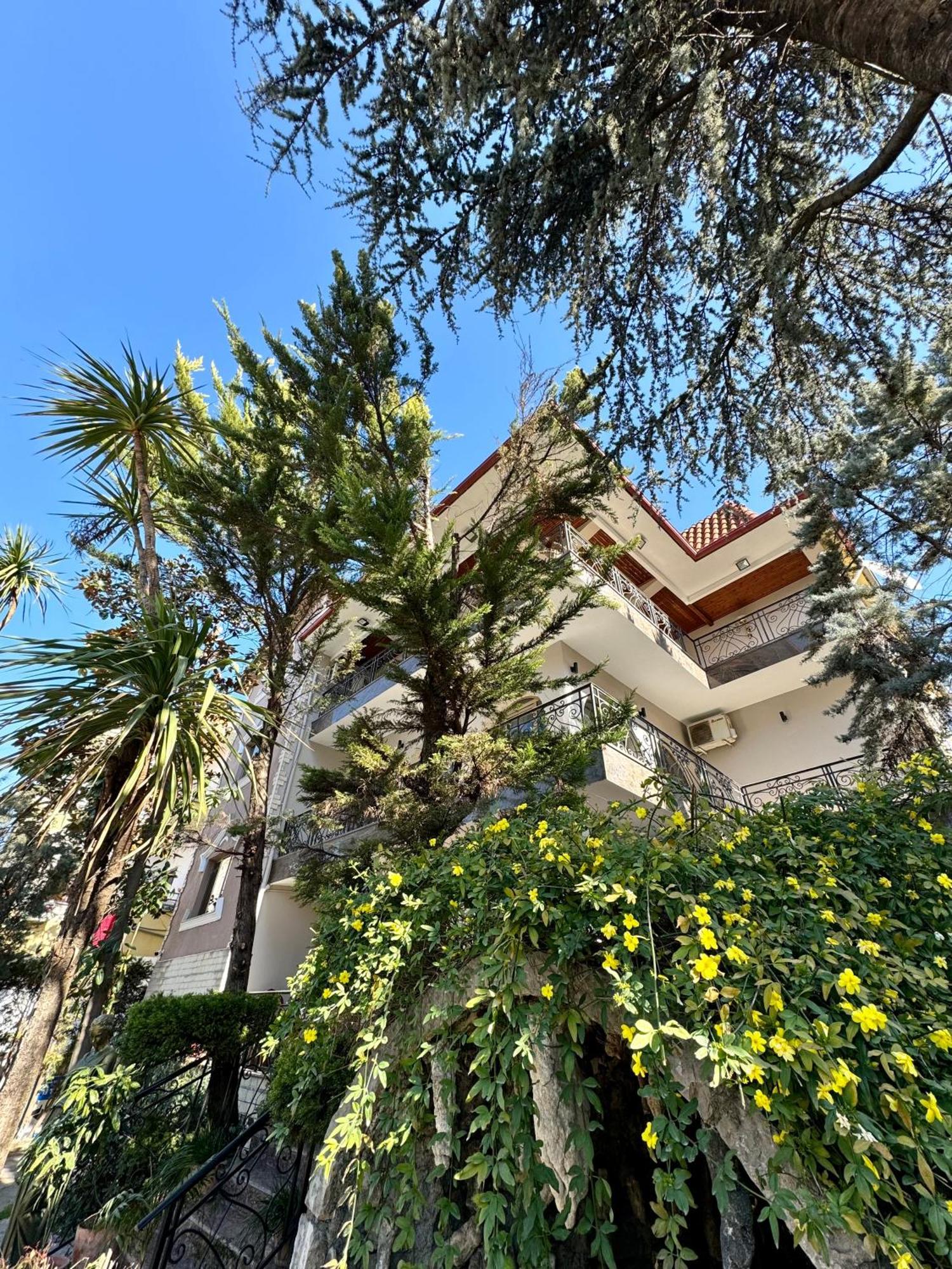 Vila Alizee Hotel Tiranë Eksteriør bilde